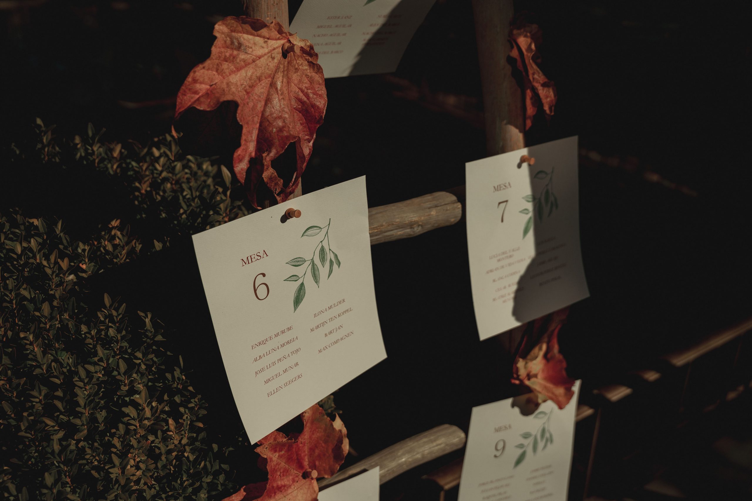 Ideas para Seating Plan Original: Bodas de Otoño con Toque Rústico y Hojas Secas Seating plan de boda en exterior, con tarjetas con diseño de rama de olivo sobre un soporte rústico de madera, decorado con hojas secas de otoño.